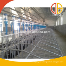 Poultry Farming Equipment Feeding System